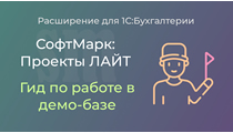 Проекты ЛАЙТ. Гид по демо-базе