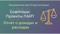Проекты ЛАЙТ. Отчет о доходах и расходах