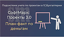 Проекты 3.0. Отчет ДДС план/факт