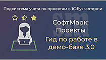 Проекты 3.0. Гид по демо-базе